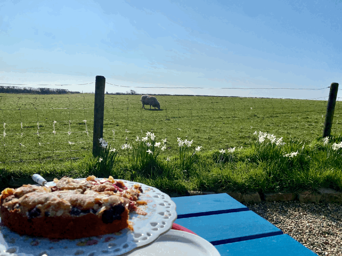 Farm Stay Travel Blog – Feathered Acres Farm, Belgrade MN